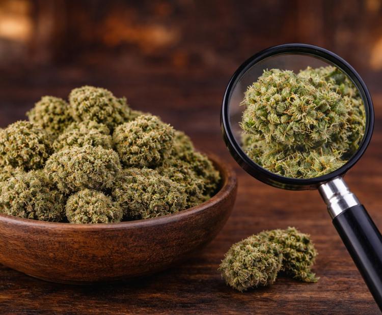 Premium hemp flower available at Green Leaf Botanicals 919 in Raleigh NC